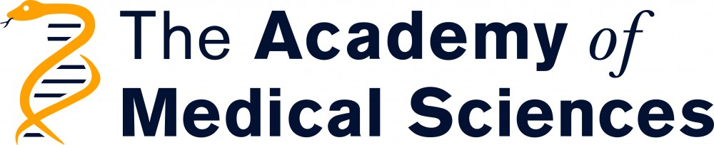 AMS Springboard