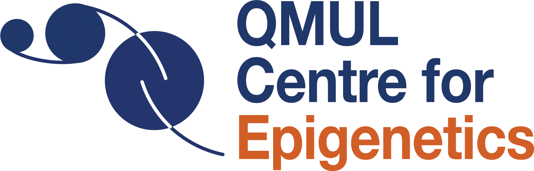 Logo of the QMUL Centre for Epigenetics